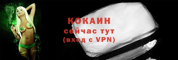 винт Верея