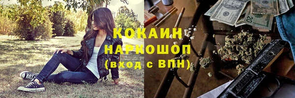 винт Верея