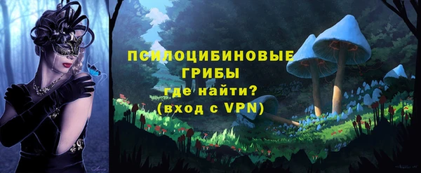 дурь Верхний Тагил
