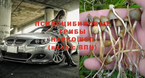 винт Верея