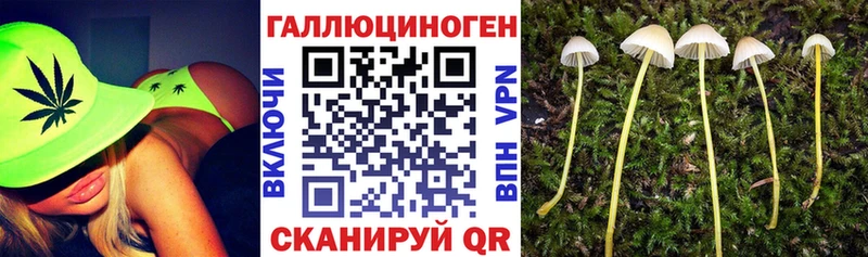 Псилоцибиновые грибы Cubensis  мориарти клад  Рязань 